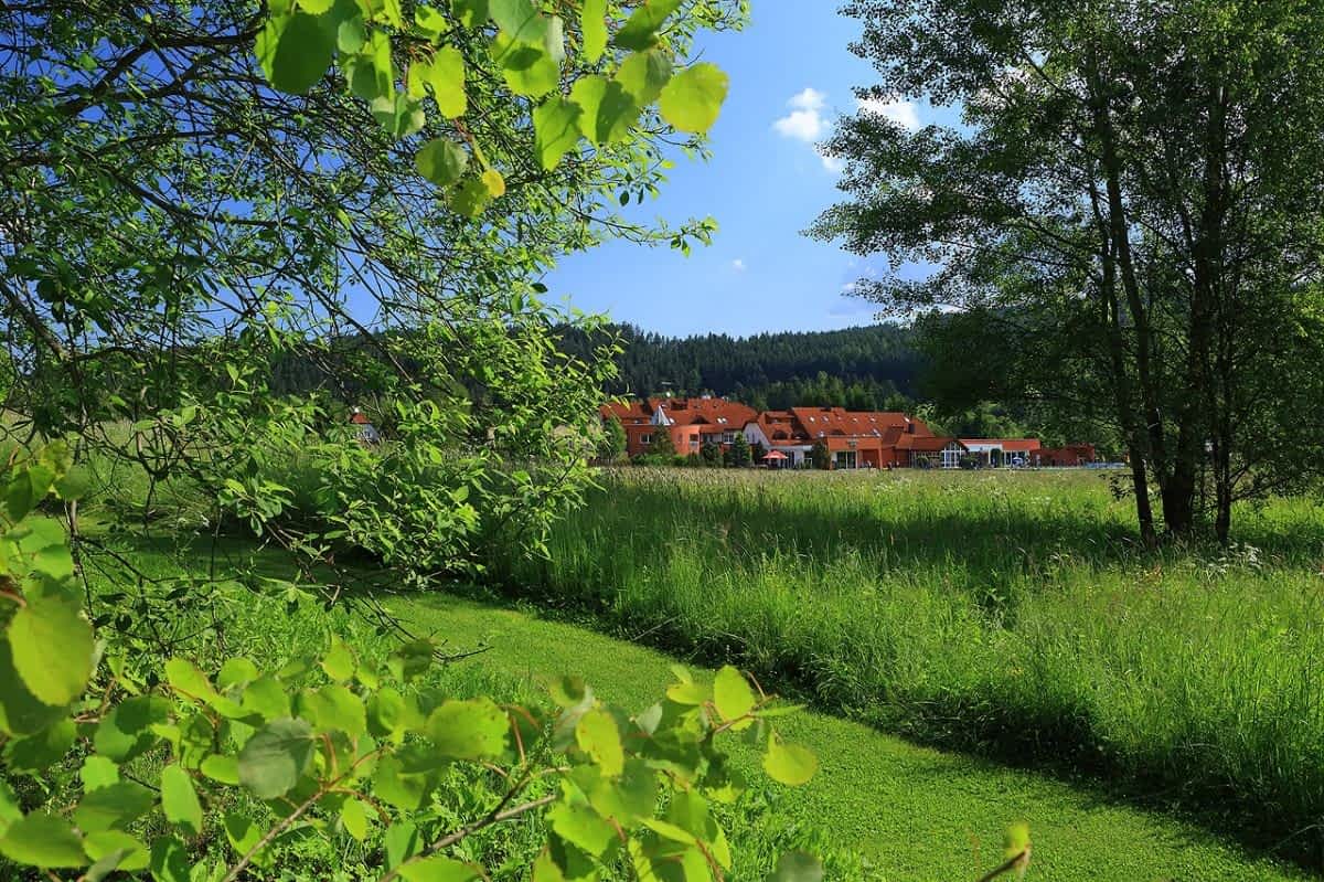 Aktivwochenenden im Mai und Juni