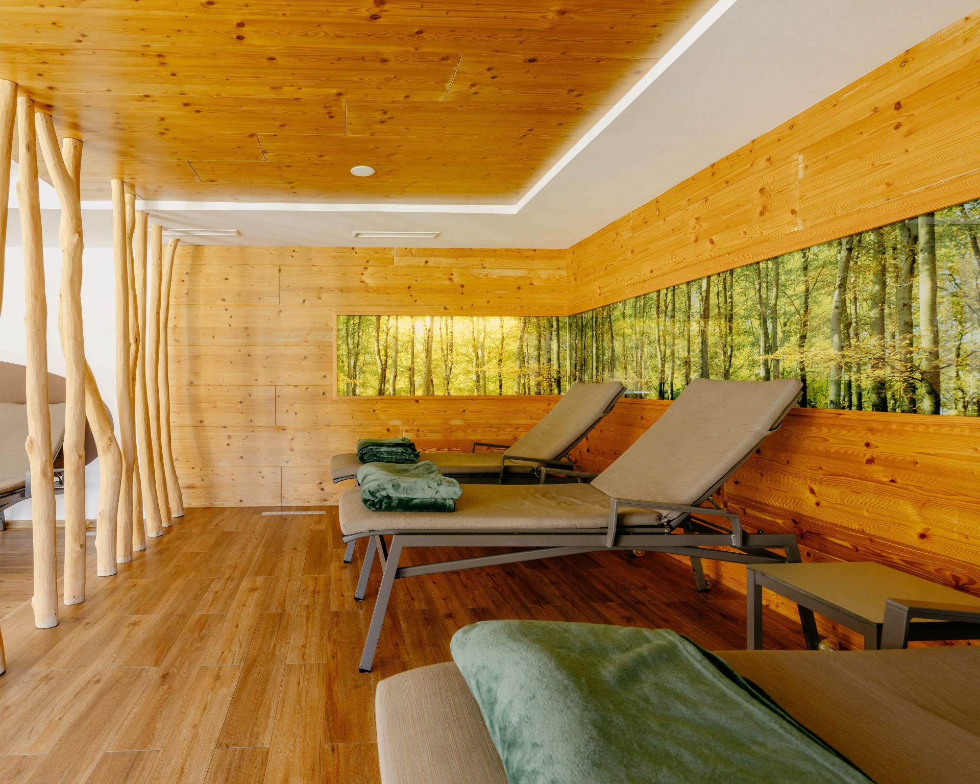 Wellness